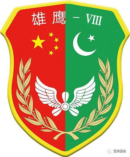中巴空军在中国西北联合训练 出动飞豹、枭龙等多型战机