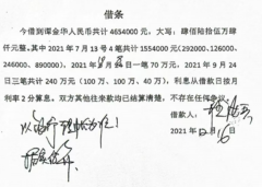 武汉借款案判决遭举报 当
